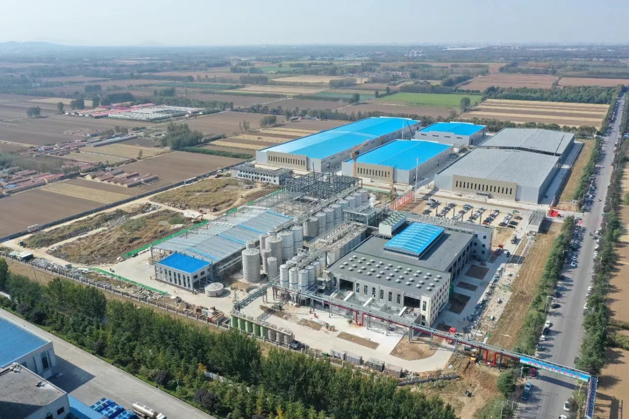 ما هي عملية إنتاج الجلوكوز